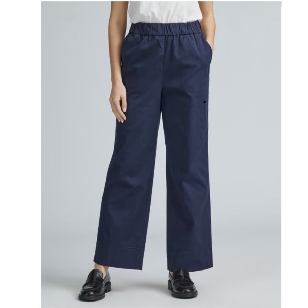 Everlane Navy Ankle Cropped Pants